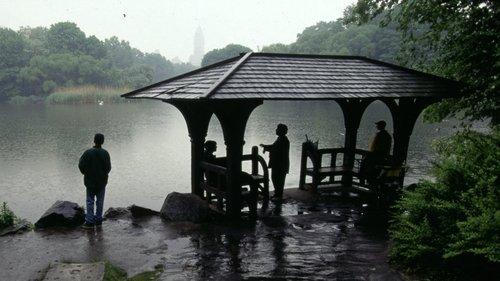 Homicide Season 1 Episode 2 - Central Park Slaying