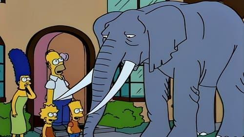 undefined Season 5 Episode 17 - Bart Gets an Elephant
