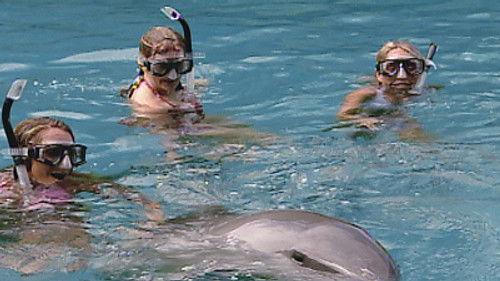 Survivor Season 10 Episode 12 - We'll Make You Pay