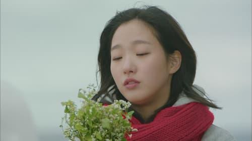 Goblin Season 1 Episode 1 - What Kind Of A Guardian Are You?