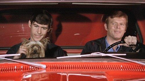 Emergency! Season 1 Episode 1 - Mascot