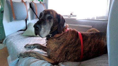 Unelmia Italiassa Season 2 Episode 4 - Episode 4