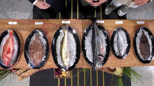 Sveriges Mästerkock Season 14 Episode 13 - Episode 13