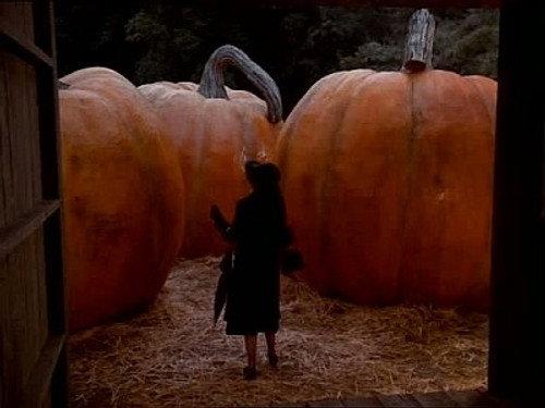 undefined Season 2 Episode 10 - The Pumpkin Competition