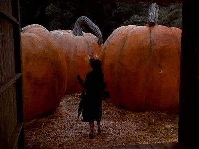 Amazing Stories Season 2 Episode 10 - The Pumpkin Competition