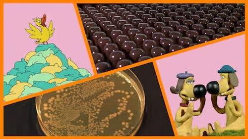 Die Sendung mit der Maus Season 55 Episode 6 - Episode 6