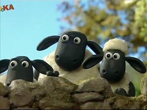 Shaun the Sheep Season 1 Episode 27 - Bitzer Puts His Foot In It