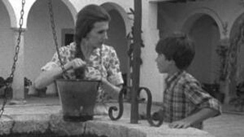 Poly Season 5 Episode 12 - Episode 12