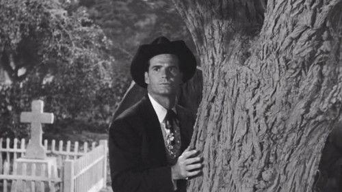 Maverick Season 3 Episode 5 - The Cats of Paradise