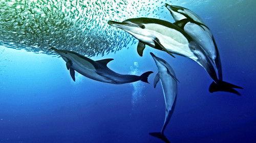 Nature's Great Events Season 1 Episode 4 - The Great Tide