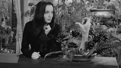 undefined Season 1 Episode 8 - Green-Eyed Gomez