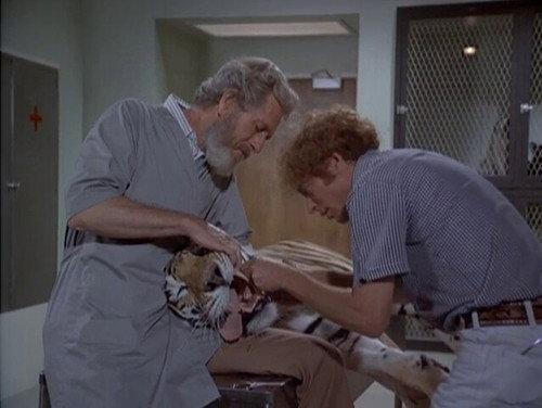 Quincy, M.E. Season 4 Episode 1 - The Last Six Hours