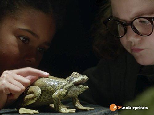 The Worst Witch Season 1 Episode 5 - Pond Life