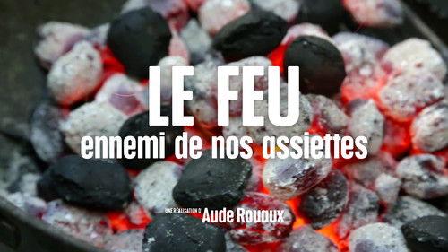 Le Doc du dimanche Season 9 Episode 6 - Episode 6