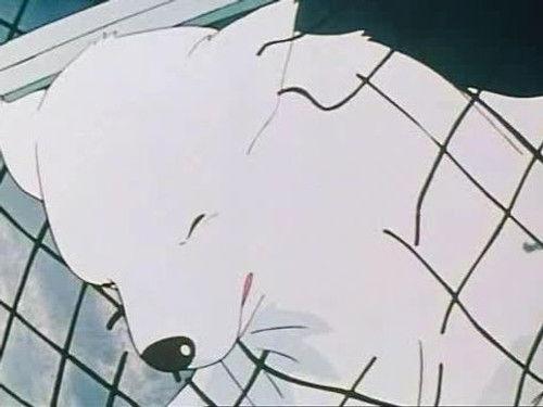 Belle and Sebastian Season 1 Episode 1 - Belle Meets Sebastian