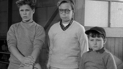 Leave It to Beaver Season 1 Episode 22 - The Perfect Father