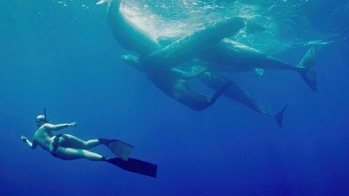 Welcome to Earth Season 1 Episode 1 - The Silent Roar