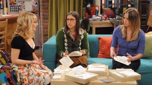 The Big Bang Theory Season 5 Episode 16 - The Vacation Solution