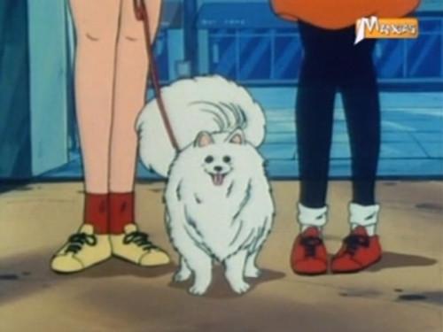 High School! Kimengumi Season 1 Episode 11 - Episode 11