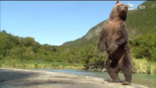 Superquark Season 21 Episode 5 - Episode 5