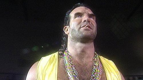 WWF Superstars Season 8 Episode 10 - Superstars - Mar. 06, 1993
