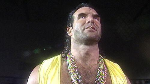 WWF Superstars Season 8 Episode 10 - Superstars - Mar. 06, 1993