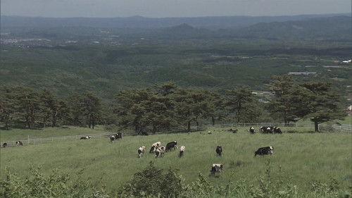 Shin Nihon Fudoki Season 5 Episode 23 - Episode 23