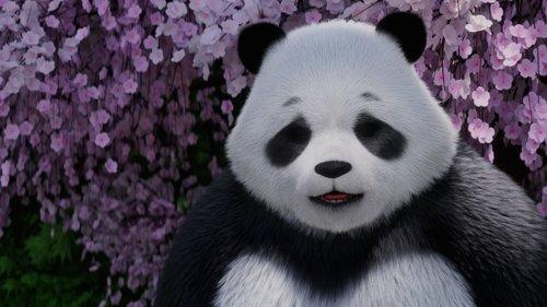 Stillwater Season 1 Episode 9 - Out on a Limb / Sandcastles