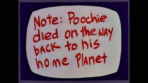 undefined Season 8 Episode 14 - The Itchy & Scratchy & Poochie Show