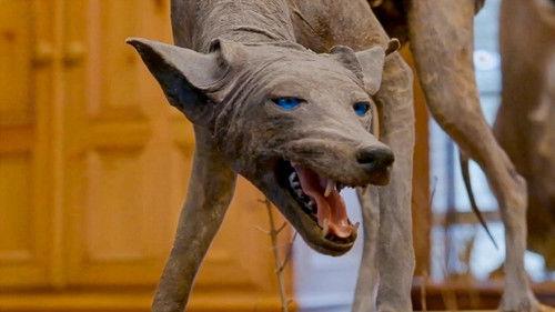 Expedition X Season 10 Episode 7 - Texas Chupacabra