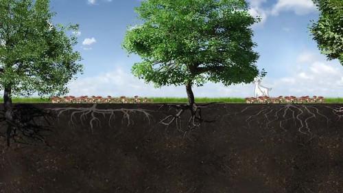 Scooby-Doo! Ecological Mission Season 1 Episode 10 - Episode 10