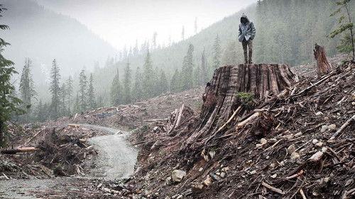 POV Season 24 Episode 11 - If a Tree Falls: A Story of the Earth Liberation Front