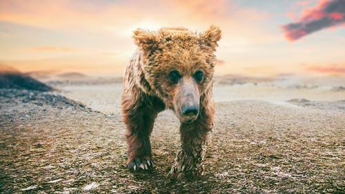 Asia Season 1 Episode 6 - The Arid Heart