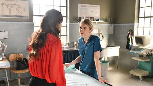 Zakochani po uszy Season 2 Episode 4 - Episode 4