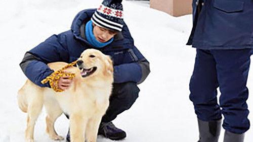 Unhandy Handyman Season 1 Episode 6 - Episode 6