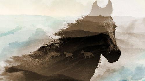 Four Corners Season 62 Episode 3 - Feral