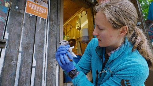 Dyrepasserne Season 14 Episode 14 - Liten, men tøff