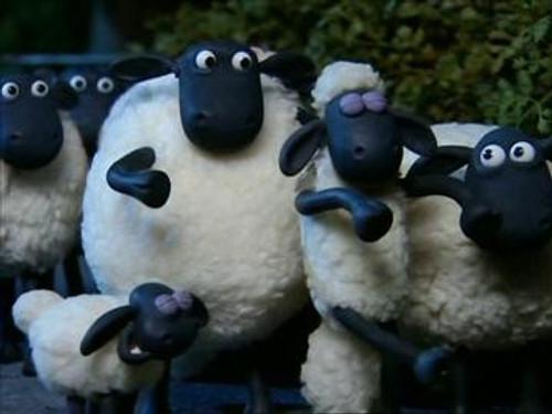 Shaun the Sheep Season 1 Episode 30 - Sheepwalking