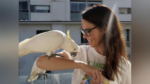 My Best Friend's An Animal Season 1 Episode 2 - Bandit, Max, and George