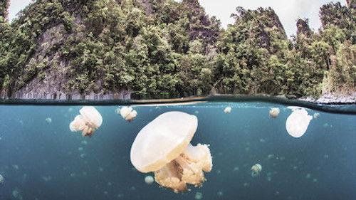 Tales by Light Season 3 Episode 3 - Paradise in Peril: Part 1