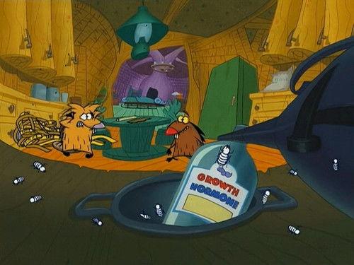 The Angry Beavers Season 4 Episode 23 - All in the Colony