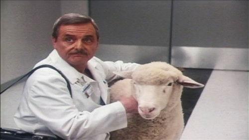 St. Elsewhere Season 6 Episode 10 - No Chemo, Sabe?