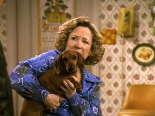 undefined Season 5 Episode 7 - Hot Dog