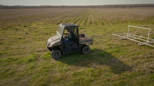 Duck Family Treasure Season 1 Episode 3 - Mrs. Ball and Mrs. Chain