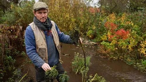 Frank & Kastaniegaarden Season 29 Episode 20 - Episode 20