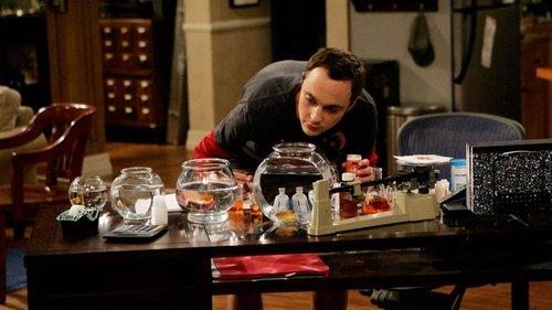 The Big Bang Theory Season 1 Episode 4 - The Luminous Fish Effect