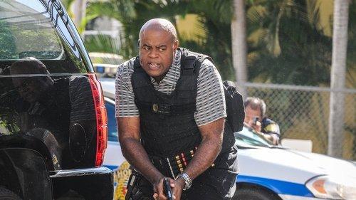 Hawaii Five-0 Season 6 Episode 17 - Waiwai (Assets)