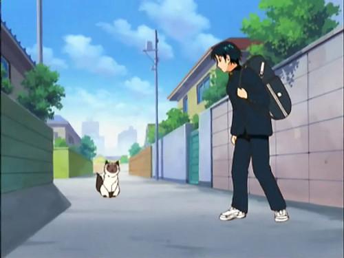 The Prince of Tennis Season 2 Episode 1 - Karupin's Adventure