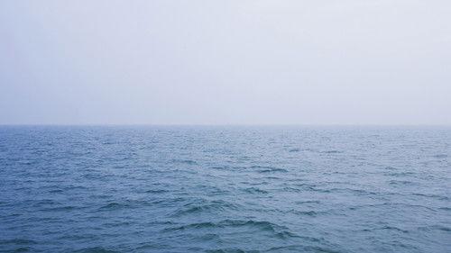 NOVA Season 42 Episode 3 - Why Planes Vanish