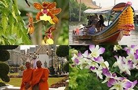 Around the World in 80 Gardens Season 1 Episode 10 - South-East Asia